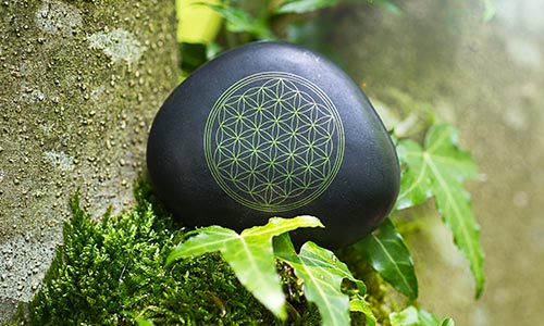 The flower of life is an important symbol within the fascinating world of esotericism.